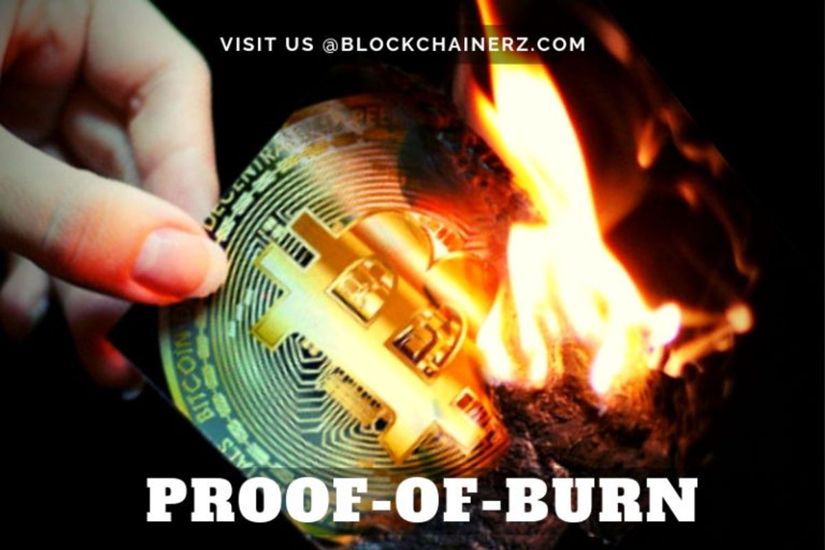 Wondering What On Earth Is Proof-of-Burn? Read This!