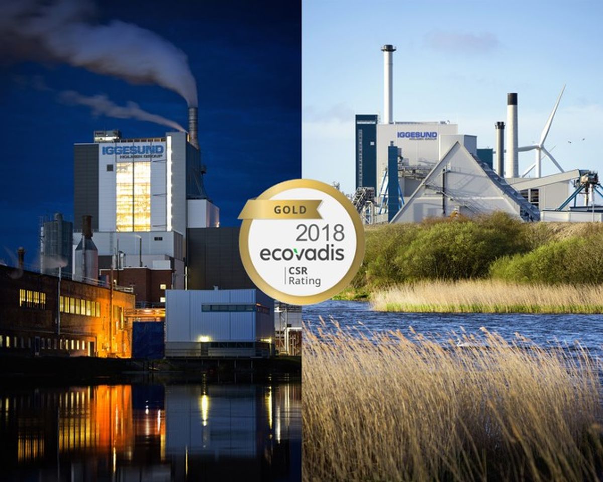 Iggesund Paperboard's mills get top marks