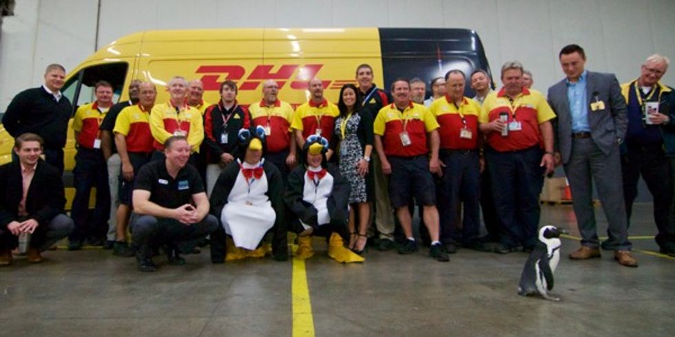 DHL teaches its couriers to march like a penguin