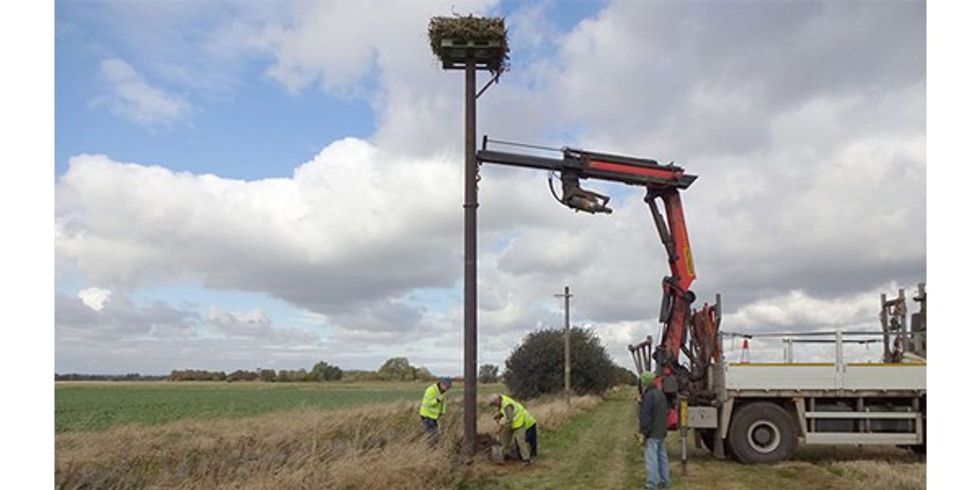 Pallets support osprey-breeding project