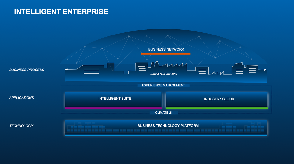 SAP software diagram PPT