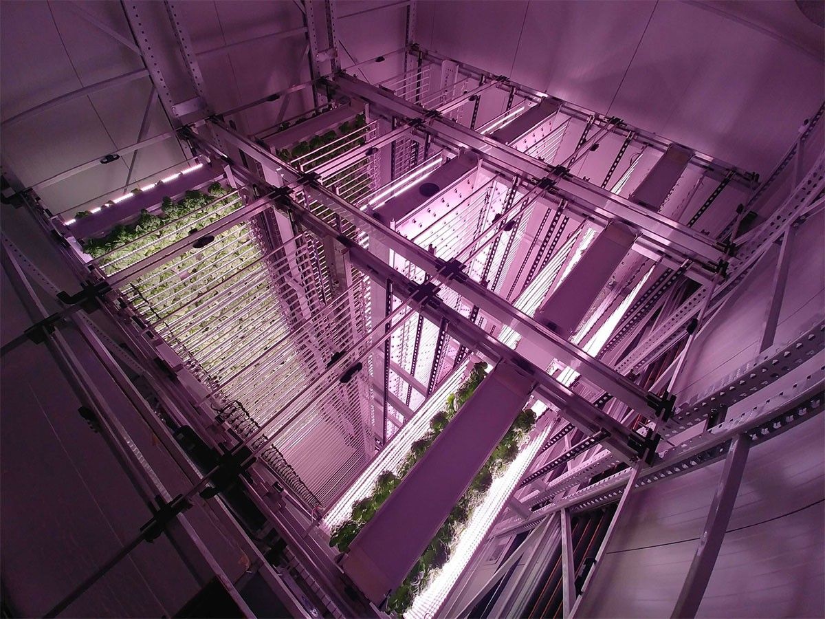 Vertical farm